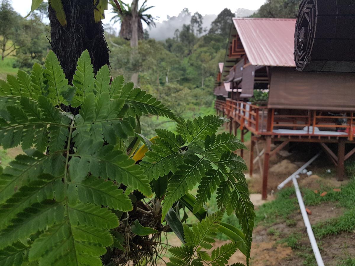 Hijau @ Gopeng Resort 2*