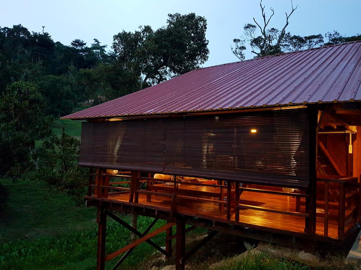 Hijau @ Gopeng 2*